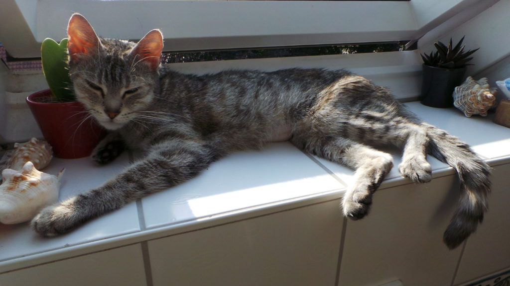 2013-07-09 17.58.10-1